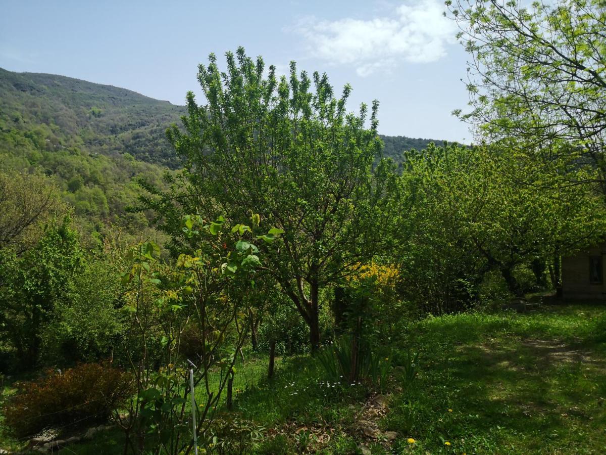 הוילה Baillestavy Font-Fresca Location מראה חיצוני תמונה